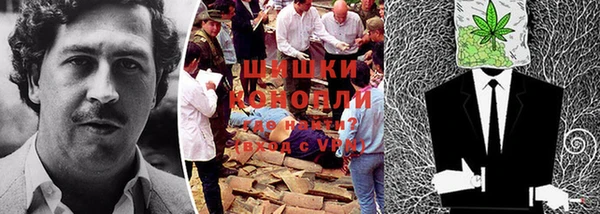 ГАЛЛЮЦИНОГЕННЫЕ ГРИБЫ Алзамай