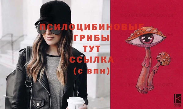 амфетамин Алексеевка
