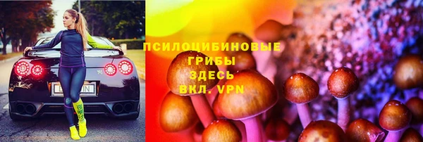 дмт Пересвет
