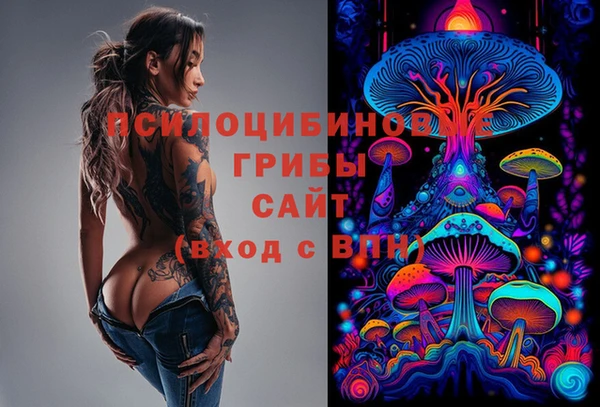 ГАЛЛЮЦИНОГЕННЫЕ ГРИБЫ Алзамай