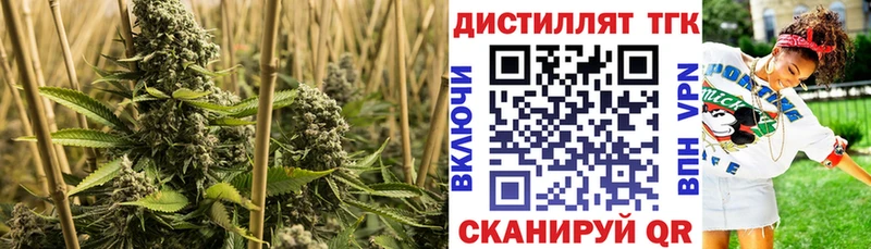 где продают   Большой Камень  кракен вход  ТГК гашишное масло 