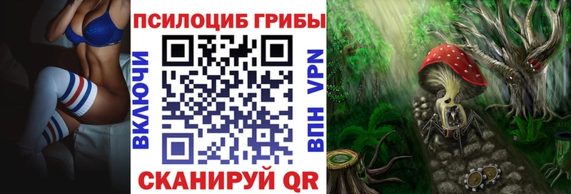 хочу наркоту  Большой Камень  Псилоцибиновые грибы Psilocybine cubensis 